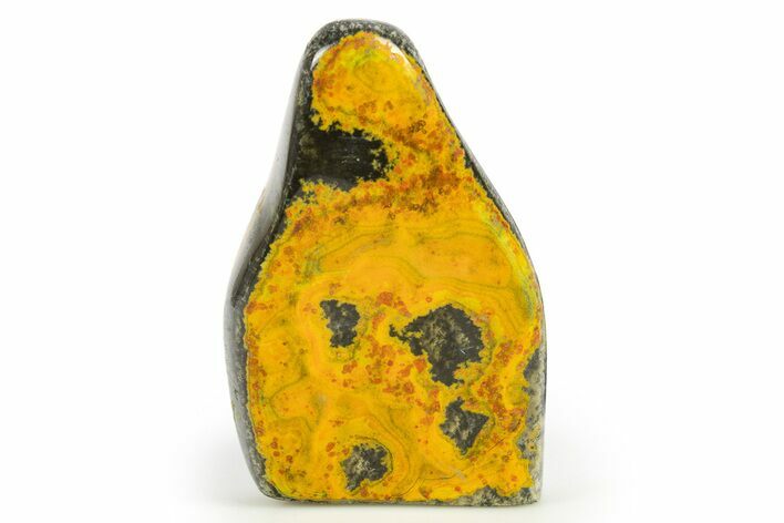 Very Vibrant, Free-Standing Polished Bumblebee Jasper #309691